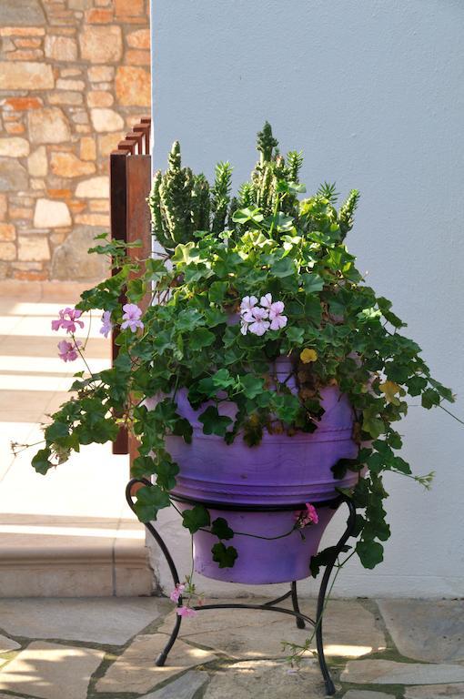 Anatoli Villa Steni Vala Alonissos Buitenkant foto